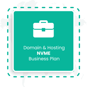 domain & Hosting NVME Business Plan